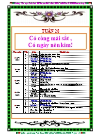 Giáo án lớp 3 - Tuần 28 - Trường tiểu học Hoài Phú